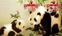 熊貓刺繡