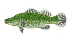 一條大魚電腦繡花圖案